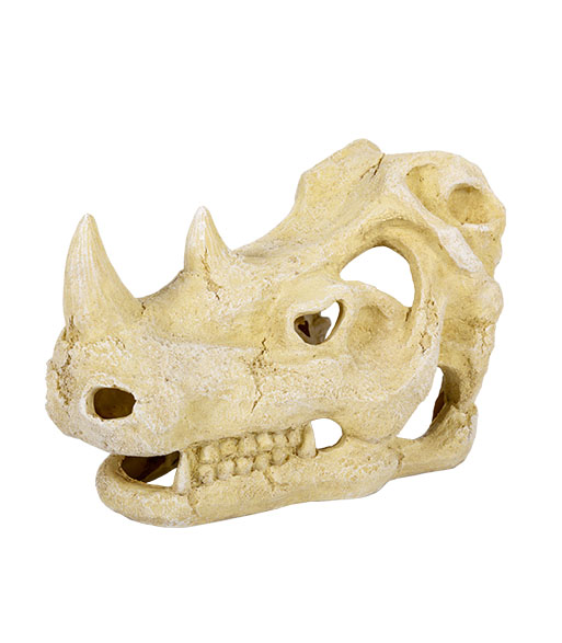 ERS35 Rhino Skull Hide Cave