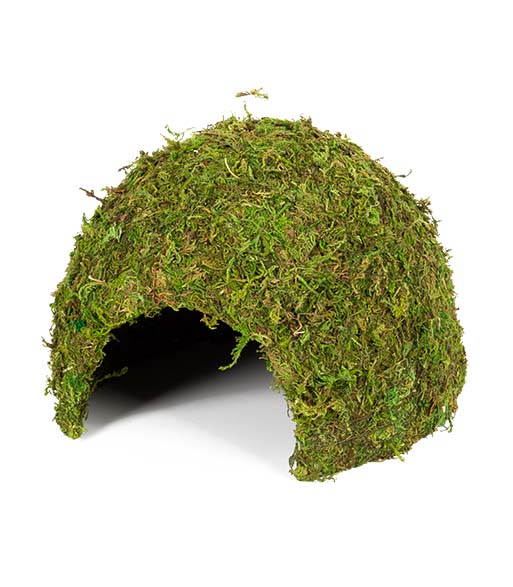 100 Percent Natural Moss_Landscape Decoration_Products_