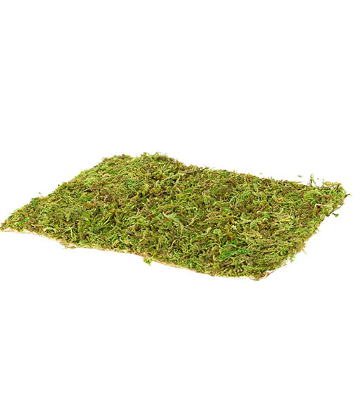 EC38 Natural Moss Mat