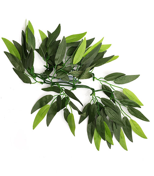 REPTIZOO TP001 Heternanthera zosterifolia tiffany