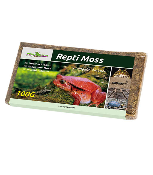 SB031/032 Repti Moss