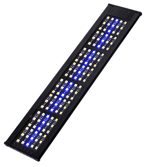 LED005