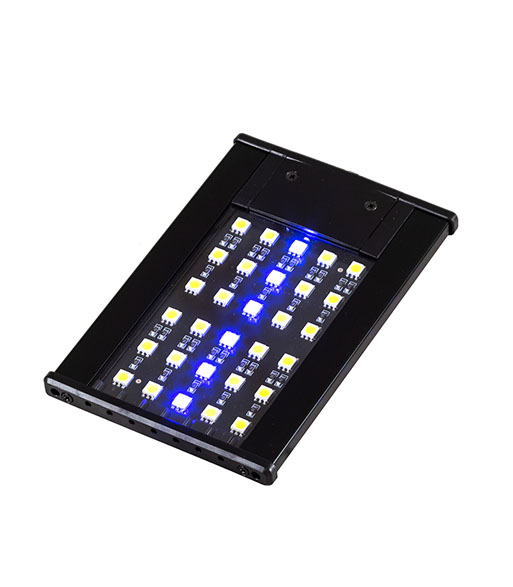 LED001