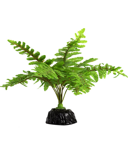 REPTIZOO TP015 Boston fern