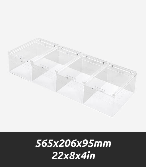 ACR42C Compart Acrylic Breeding Case