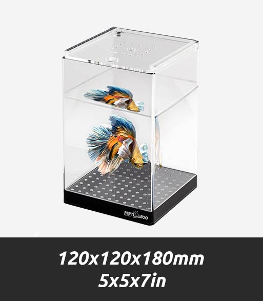 ACR29 Betta Fish Case